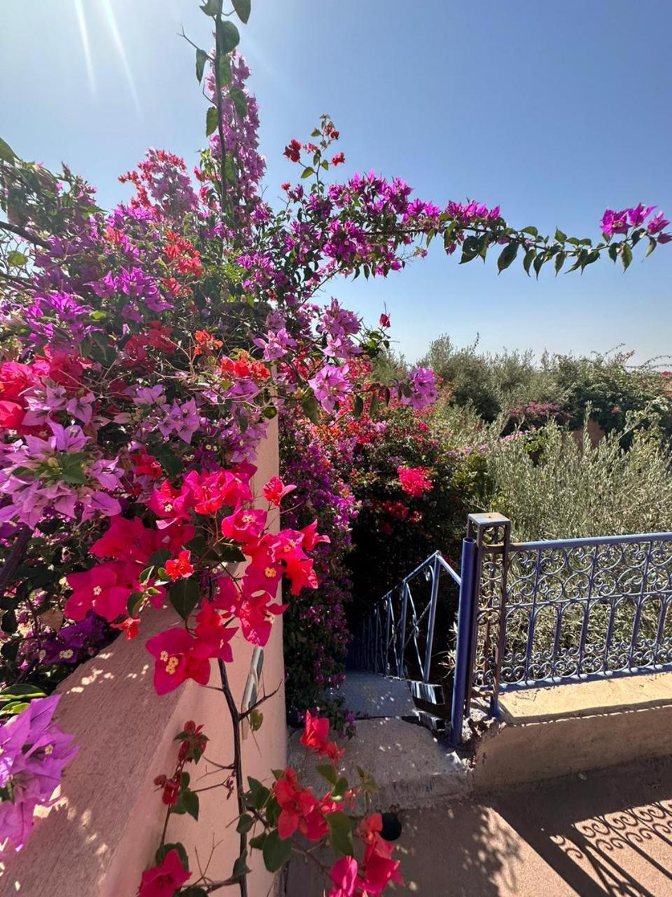 Villa Ms Holidays Mika Privatisee Marrakech Marrakesh Eksteriør billede